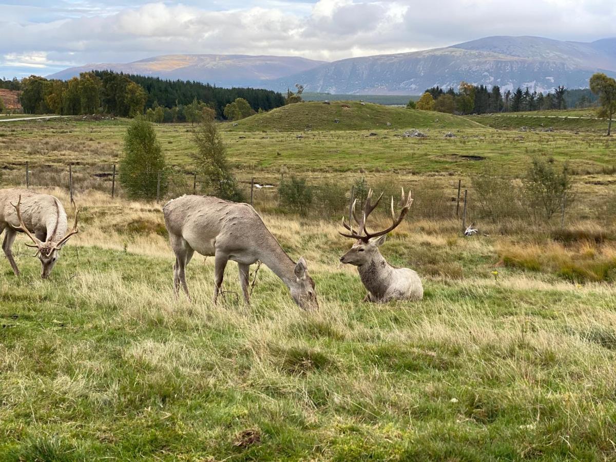 Ardenbeg Hotell Grantown-on-Spey Eksteriør bilde